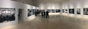 triennale 2019 amici della nave